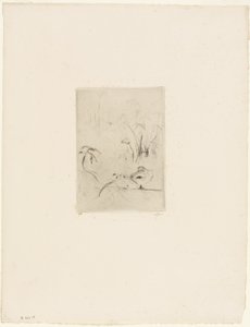 El Pato de Berthe Morisot