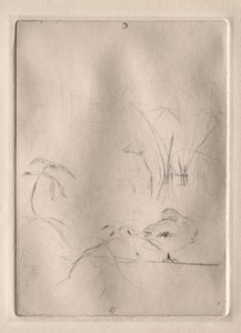 El pato, 1888-90