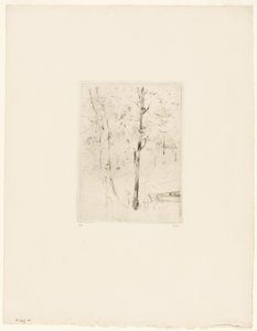 El lago del Bois de Boulogne de Berthe Morisot