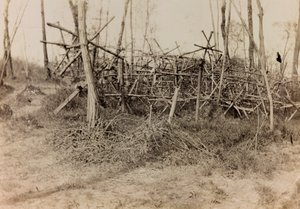 Álbum de la Primera Guerra Mundial en Friuli-Venecia Julia: obstáculo defensivo (cavalli di Frisia), 05/1916 (foto en b/n) de Bertoni Bertoni