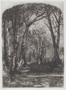 Bosque, c.1895 de Bianchi Mose