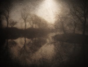 Reflejo del bosque brumoso de Bill Eiffert