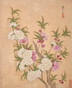  de Bing Yun