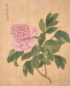  de Bing Yun