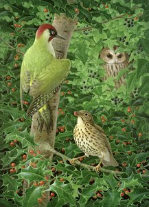 Pájaro carpintero, Búho y Zorzal de Birgitte Hendil