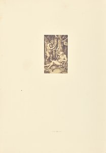 La familia Sátiro de Bisson Frères