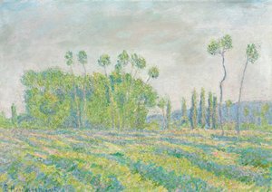 En francés:  Giverny, Peupliers des Ajoux