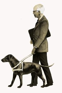 Perro guía para ciegos