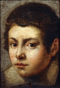 La cabeza de un niño