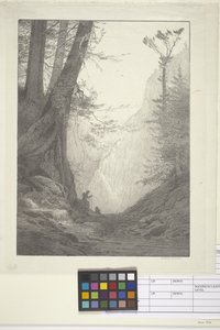 Big Cedars (tinta sobre papel, litografía) de Bolton Coit Brown