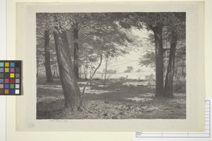 Edge Of The Woods (tinta sobre papel) de Bolton Coit Brown