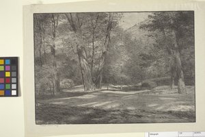 Sierra Woods (tinta sobre papel) de Bolton Coit Brown