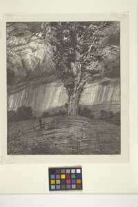 Tormenta (tinta sobre papel) de Bolton Coit Brown