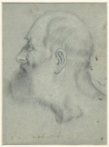 Cabeza de hombre con barba, de perfil a la izquierda de Bonifazio Veronese (attributed to)
