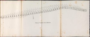Columna vertebral de la ballena, 1827 Colonne Vertébrale de la Baleine (título sobre objeto)