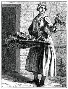 ¡Mis hermosos claveles!, 1737-1742