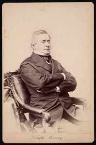 Retrato de Joseph Henry 1797-1878, entre 1868 y 1878 de Brady