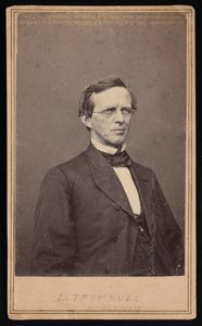 Retrato de Lyman Trumbull 1813-1896, Entre 1864 y 1868 de Brady
