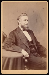 Retrato de Schuyler Colfax 1823-1885, antes de 1885 de Brady