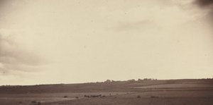 Vista de campos con vacas de British 19th Century