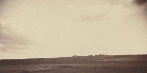 Vista de campos con vacas, años 1850-1860 (foto) de British Photographer