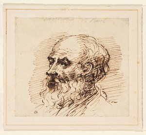 Cabeza de hombre barbudo de British School