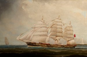El buque "Mermerus" (1872) de British School