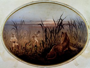 Caza de tigres dirigida por el ejército británico, Reino Unido de British School