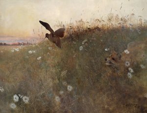 Zorro y becada de Bruno Andreas Liljefors