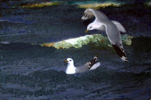 Gaviotas