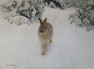Liebre en invierno de Bruno Andreas Liljefors