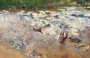 Patos salvajes de Bruno Andreas Liljefors