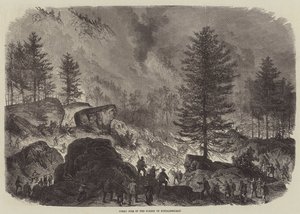 Gran incendio en el bosque de Fontainebleau