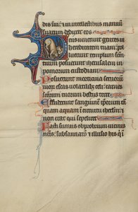 Inicial D: Un león y unicornios