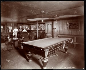 El bar en el Janer