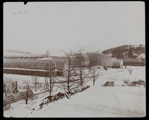 Los Invernaderos en la Nieve en la Finca de Helen Gould (antigua residencia de Jay Gould) en Tarrytown, Nueva York de Byron Company