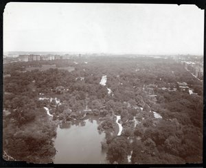 Vista de Central Park desde el Plaza Hotel, 5ª Avenida y Calle 59, Nueva York, c.1907