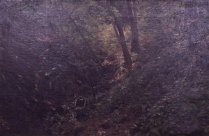 Primavera en un barranco de C.A. Kølle