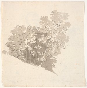 Grupo de árboles de C.A. Lorentzen