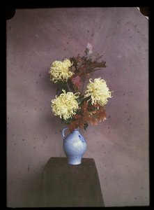 Flores (asters) en un florero de C.W. Immink