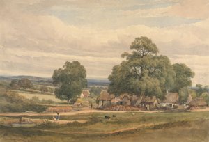 Emerey Down, cerca de Lyndhurst, New Forest, Hants de C. John M. Whichelo