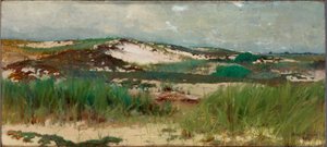 Duna de arena de Nantucket de C. Morgan McIlhenney