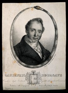 Gaudenzio de Pagave. Litografía de C. Gandolfi. de Camilla Guiscardi