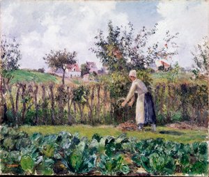 En el jardín
