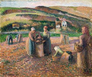 Recogiendo patatas, 1893