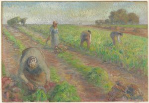 La cosecha de remolacha, 1881