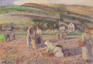 La cosecha de papas, 1886