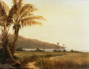 Cocoteros junto al mar, Santo Tomás, Antillas ... (pintura sobre lienzo) de Camille Pissarro