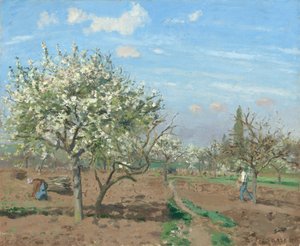 Huerto en Flor, Louveciennes de Camille Pissarro