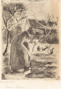 Campesina Trabajando